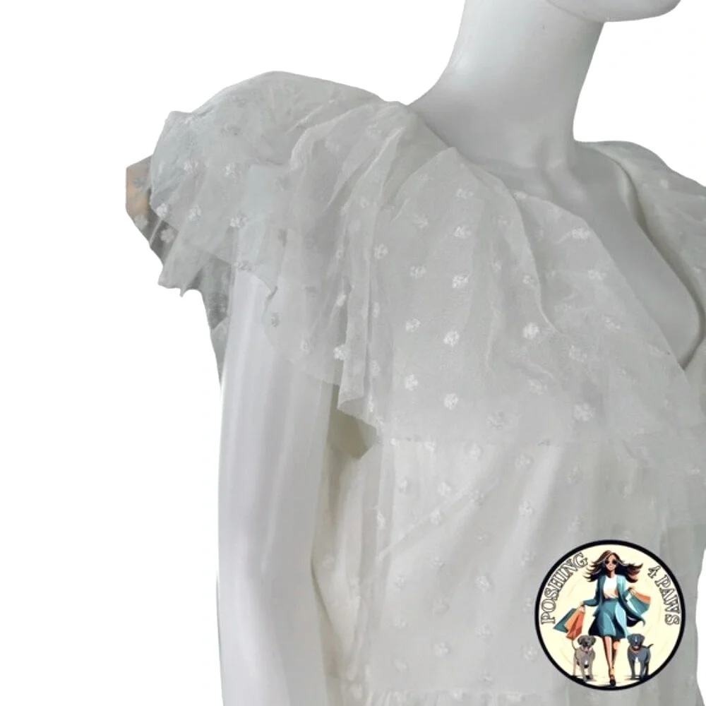 Tuckernuck | NEW White Onyx Tulle Giselle Formal Embroidered Maxi Gown Size S